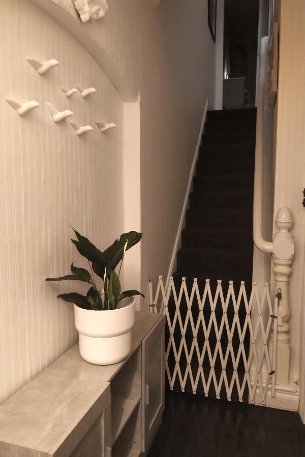 Budget Shared Dorm Rooms, Oldpark Road Area, 2 Miles To Centre, Free Breakfast, Pics And Full Address Sent After Homestay *